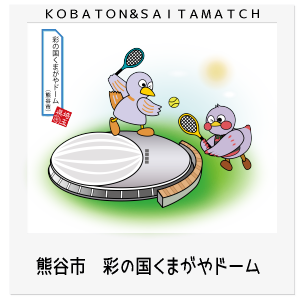 熊谷市 彩の国くまがやドーム